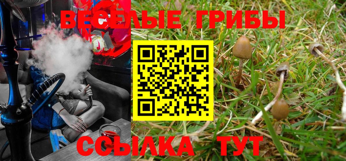 Галлюциногенные грибы GOLDEN TEACHER  Псилоцибиновые грибы MAGIC MUSHROOMS  Мурино  Вход с VPN 